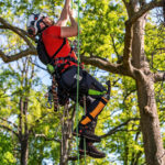 silky_genejimo_pjuklas_sugoi_360_mm_6 Genėjimo Pjūklas Sugoi 360 mm